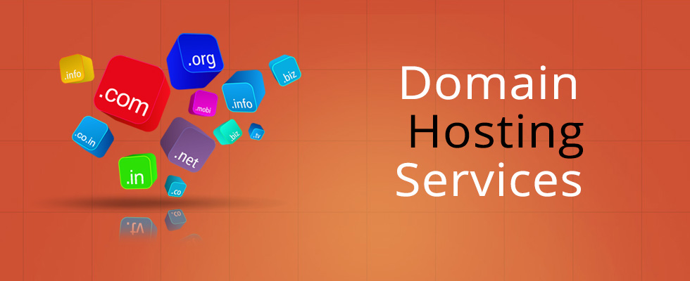 Domain & Hosting Registration